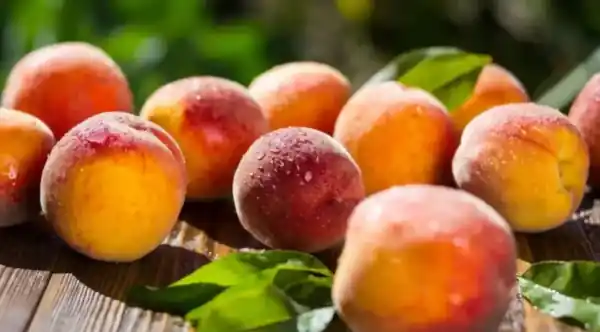 peaches naoussa